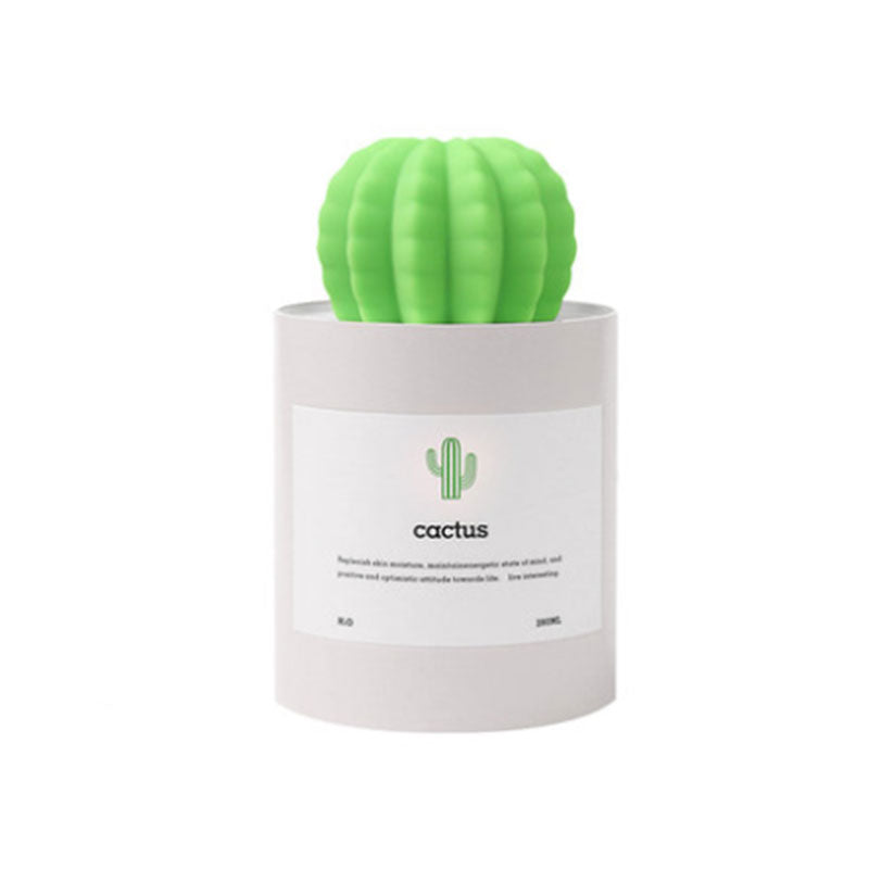 Succulent Cactus Air Humidifier Diffuser