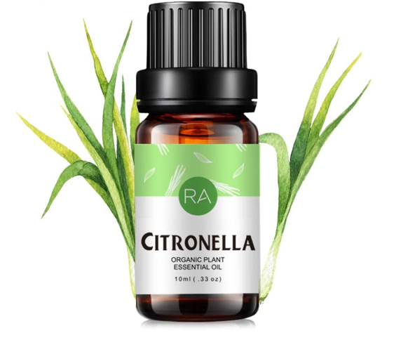 Citronella Essential Oil (10 ml)