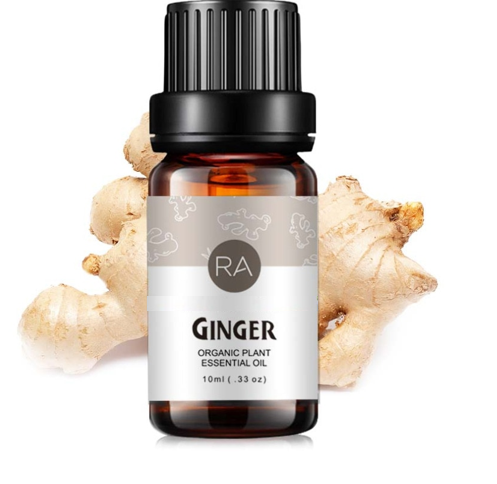 Ginger Essential Oil (10 ml)